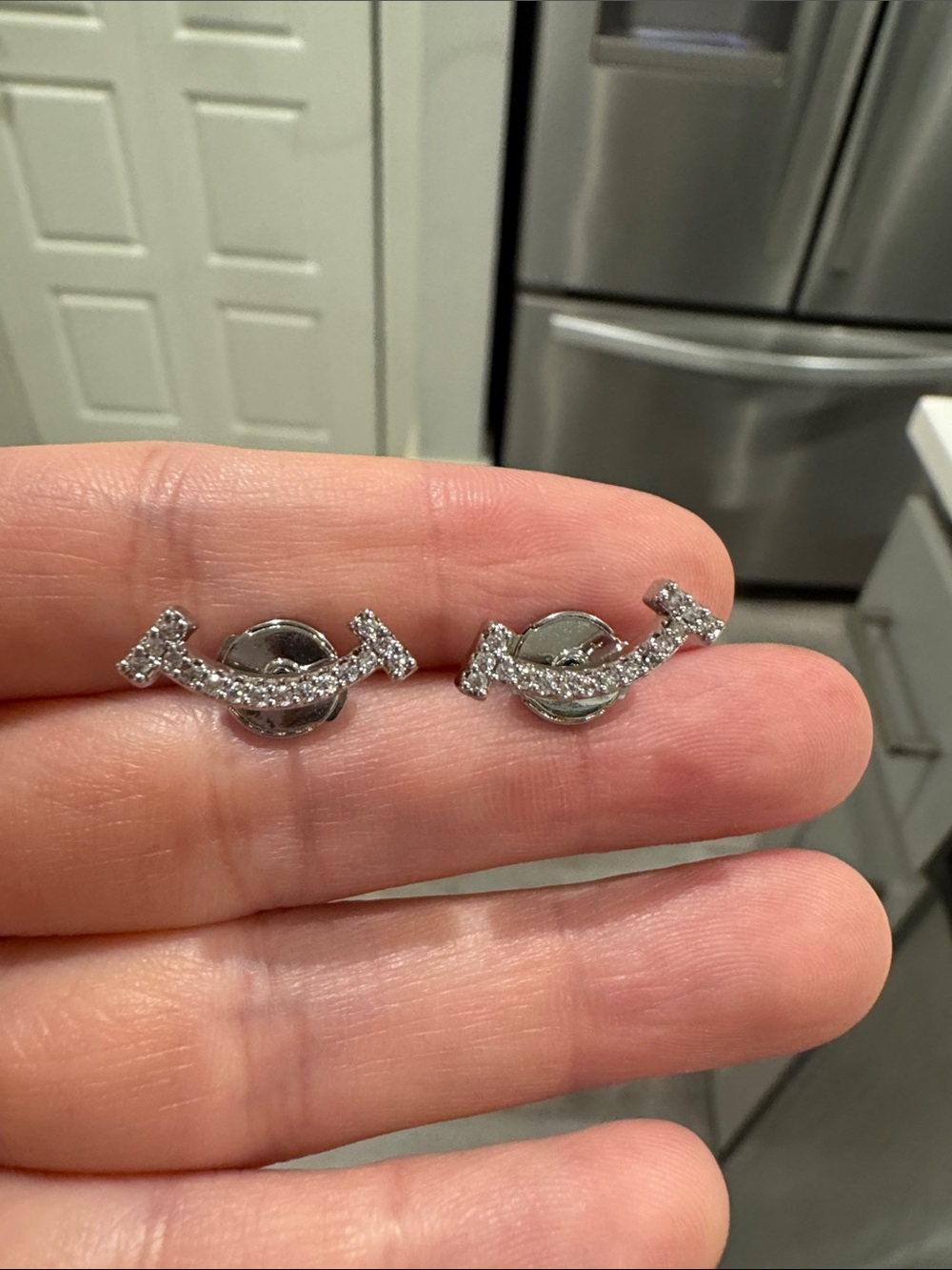 Silver Tone Smile Curve CZ Stud Earrings